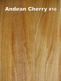 Andean Cherry